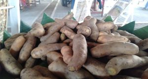 Pesan yang Disampaikan PSE KWI Kepada Para Capres dan Cawapres Terkait Pangan Nusantara