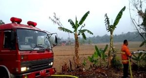 Kapolsek Melaya Bersama Anggota Turun Ke TKP Kebakaran Gudang Kayu