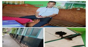 SDN 1 Tegal Binangun Kecamatan Sumberjo Diduga Manipulasi Data Siswa