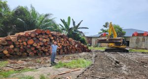 Kapolsek Kampar Kiri Temukan Tumpukan Kayu Log di Desa Kuntu Darussalam Kec. Kampar Kiri