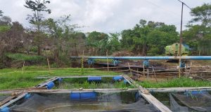 Kawal Pasokan Migas Nasional, PT Pertamina EP Prabumulih Field Sigap Tangani Kendala Operasi Produksi