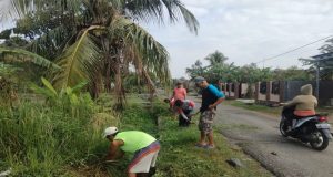 Menjelang Datangnya Musim Hujan. Pemerintah Pekon Gading Rejo Timur Kabupaten Pringsewu Melaksanakan Gotong Royong Bersama Masyarakat