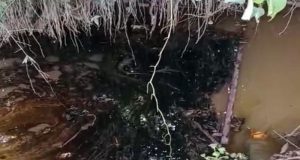 PT. Patra Logistik Mitra Pertamina Persero Diduga Alami Kebocoran Limbah BBM