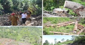 Terjadinya Longsor di Kabupaten Humbahas Karena Rusaknya Keseimbangan Ekosistim Hutan Dengan Adanya Penebangan Kayu