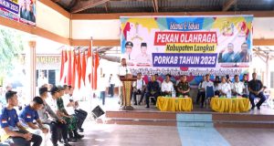 Syah Afandin Buka PORKAB Langkat, Berikut Harapannya