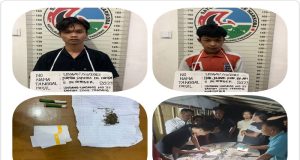 Satresnarkoba Polres Padang Pariaman berhasil tangkap pelaku Penyalahgunaan narkotika Ganja