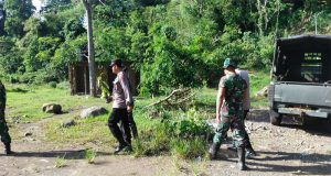 Kegiatan Tanam Pepohonan di Lahan Kritis Upaya Bersama Memulihkan Lingkungan