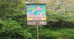 Gambar Caleg Terpasang di Setiap Plang Kelok 44