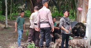 Polsek Kemuning Inovatif Dalam Pengamanan Pemilu: Gelar ‘Cooling System’ di Desa-Desa hingga Jalan Terpencil
