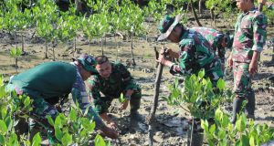 Lestarikan Alam dan cegah abrasi, Kodim 1202/ Singkawang Tanam Mangrove