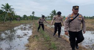 Kapolsek Sungai Batang Sosialisasikan Pemilu Damai 2024 di Desa Mulgo Mulyo