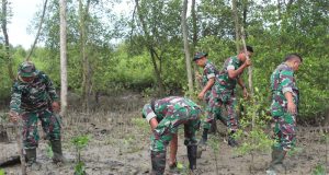 Cegah Abrasi, Kodim 1202/Singkawang Tanam Bibit Mangrove