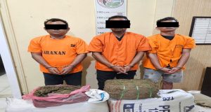 Sat Narkoba Polres Langkat Amankan Tiga Tersangka dan 32 Kg Ganja