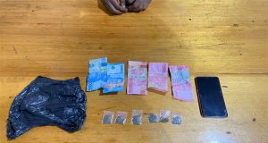 Satresnarkoba Polres Nabire Mengamankan Terduga Pelaku Pengedar Narkotika Jenis Ganja