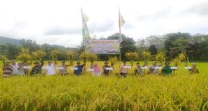 Dukung Ketahanan Pangan, Kodim 1209/Bengkayang Panen Raya Padi Di Wilayah Binaan