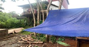 Tiga Orang Diamankan Sat Reskrim Polres Ketapang Terkait ILegal Logging Di Sandai