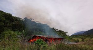 Kantor Distrik Bayabiru Dibakar Massa, Kepolisian Resor Paniai Terapkan Tindakan Tegas