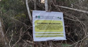 Meminimalisir Kerusakan Hutan Kawasan Akibat Aktivitas Tambang Ilegal, LPHD Desa Pematang Rutin Lakukan Patroli Sekaligus Pemasangan Banner Himbauan