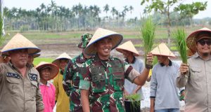 Gerakan Tanam Serentak 3000 Ha: Kodim 0314/Inhil Mengejar Impian Swasembada Beras yang Hilang di Kabupaten Indragiri Hilir