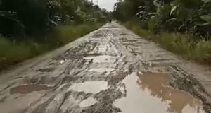 Masyarakat Desa Suhada Memohon Perhatian Penuh Pemerintah Daerah terhadap Infrastruktur Jalan yang Rusak