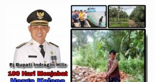 100 Hari PJ Bupati: Harga Kelapa Melonjak, Petani Inhil Bersorak