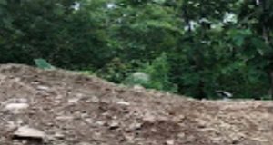 Ketua Ikatan Wartawan Online Indonesia IWOI DIY Mendesak Dinas SDM dan Polda DIY Bertindak Tegas Tambang Yang Tidak Kantongi Izin