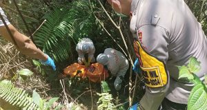 Iptu Afrizal, SH. MH, Kapolsek Palupuh Tanggap Cepat Dengan Penemuan Mayat Oleh Warga