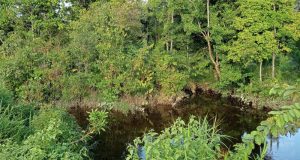 Remaja 15 Tahun Tenggelam di Sungai Selintah, Polres Sekadau Jelaskan Kronologinya