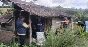 Babinsa Koramil 1204-01/ Kapuas Bantu Petani Panen Padi Di Wilayah Desa Binaan