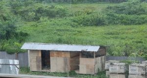 Dishub PBD Sebut Progres Pembangunan Terminal Tipe B Sorong Sesuai Progres, Bedah Fakta Lapangan