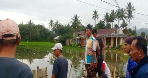 Masyarakat Bersama Wali Jorong dan Wali Nagari Koto Tangah Bersihkan Selokan Tersumbat