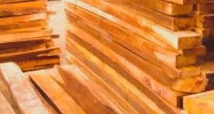 DiSinyalir Bisnis Kayu Ilegal, Richardo Angkat Bicara