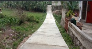 Pekon Padang Rejo Melaksanakan Pembangunan Rabat Beton di Dua Dusun