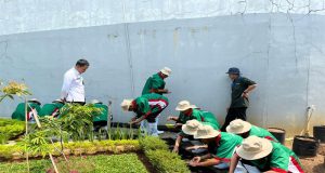 Lapas Kelas IIA Cikarang Gelar Pelatihan Berbasis Kompetensi Pembudidayaan Ayam Petelur Omega 3 dan Sayuran Cabai