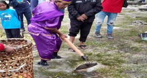 Pengamanan Acara Adat Manammi di Miangas, Tradisi Menangkap Ikan Secara Tradisional