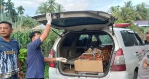 Seorang Lansia Mengamuk di Pesisir Selatan, 1 Orang Tewas dan 1 Orang Alami Luka Serius