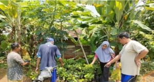 Pekon waya Krui melaksanakan program ketahanan pangan dan penyaluran BLT (DD) tahun 2024