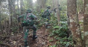 Satgas Pamtas RI-Malaysia Gagalkan Penyelundupan Sisik Trenggiling