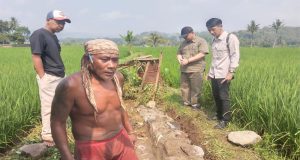 Salurkan DD Earmarked Tahap 1 Ketapang, Pemdes Cikujang Gunungguruh Bangun Irigasi Tersier Kutamaneh