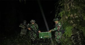 Satgas Yonkav 12/BC Gagalkan Penyelundupan Satwa Dilindungi