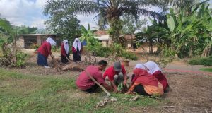 UPT SMPN 1 Adiluwih Gelar Aksi Hari Sejuta Pohon untuk Lestarikan Lingkungan
