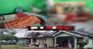 Diduga Mengalami Gangguan Jiwa, Dua Orang warga Pekon Tanjung Kemala Kecamatan Tanggamus, Tewas Bersimbah Darah