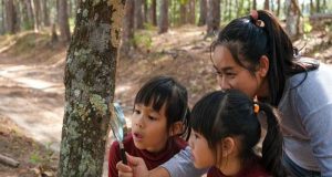 Kegiatan SD Kanisius Kenalan Selama Liburan