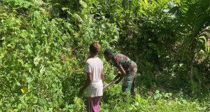 SATGAS TMMD Kodim 1709/Yawa Bantu Warga Cari Kayu Bakar