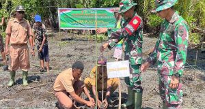 Bersama Warga Dansatgas TMMD Kodim 1709/Yawa Tanam Ratusan Bibit Pohon & Mangrove