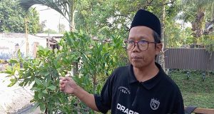 Akibat Ulah Oknum Warga , Taman Balai Cagar Budaya Batu penggilingan Telah Tertata Rapih Kini Kembali Kumuh