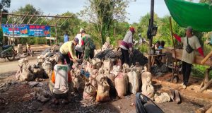 Dekat Dengan Warga Binaan Babinsa Selakau Tua Bantu Timbun Jalan Desa