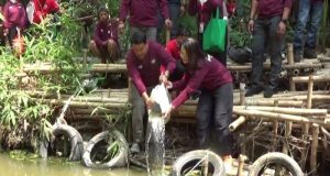 Komunitas Rehab Kali Cikarang Gandeng Anak – Anak Bersihkan Sampah Dan Tanam Bibit Benih Ikan Di Sungai