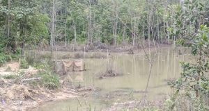 Hasil Cek Limbah PT BDA Disampaikan Ke DAD Barito Utara Ini Pelanggaran & Sangsi Hukumnya