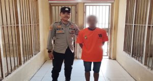 Curi Sarang Madu Teran, Seorang Laki-laki Diamankan Polres Beltim
